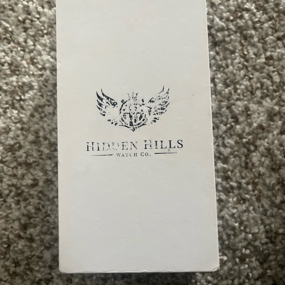 Hidden Hills Men's Silver Watch